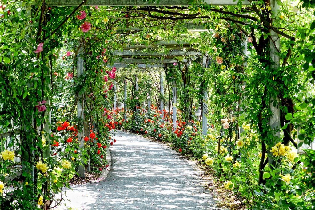 Pergola-styling-tips-voor-een-lente-oase-3112055