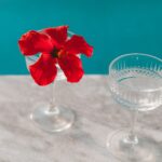 Hibiscus interieuraccenten: tropische flair voor een zomerse stijlupdate