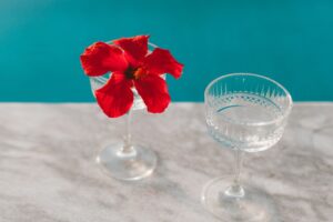 Hibiscus-interieuraccenten-tropische-flair-voor-een-zomerse-stijlupdate-pexels_6422038