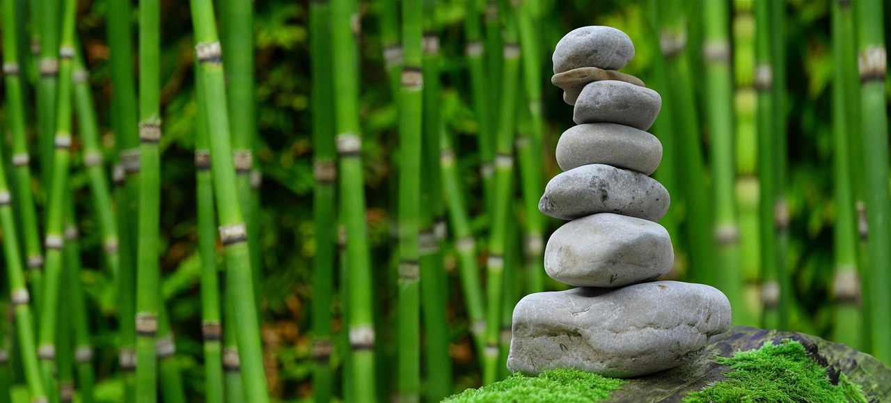 Kleine boeddha in een weelderige zen-tuin. Kleine boeddha in een weelderige zen-tuin.
