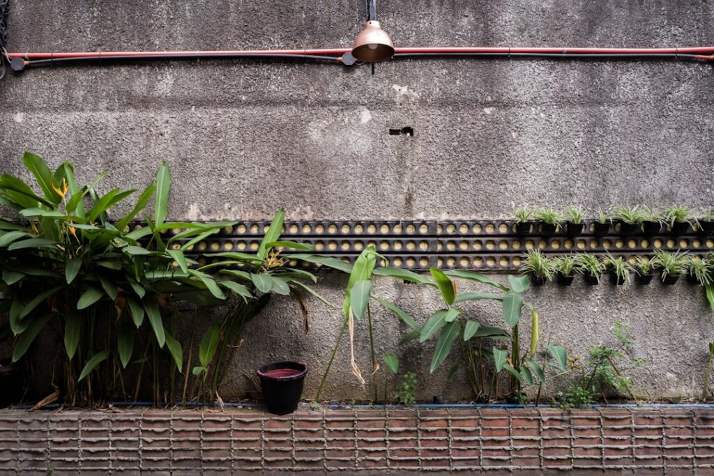 Regenwateropvang-innovatieve-tuinoplossingen-voor-behoud-en-gebruik-unsplash_z6u9kqlqwQk
