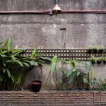Regenwateropvang: innovatieve tuinoplossingen voor behoud en gebruik