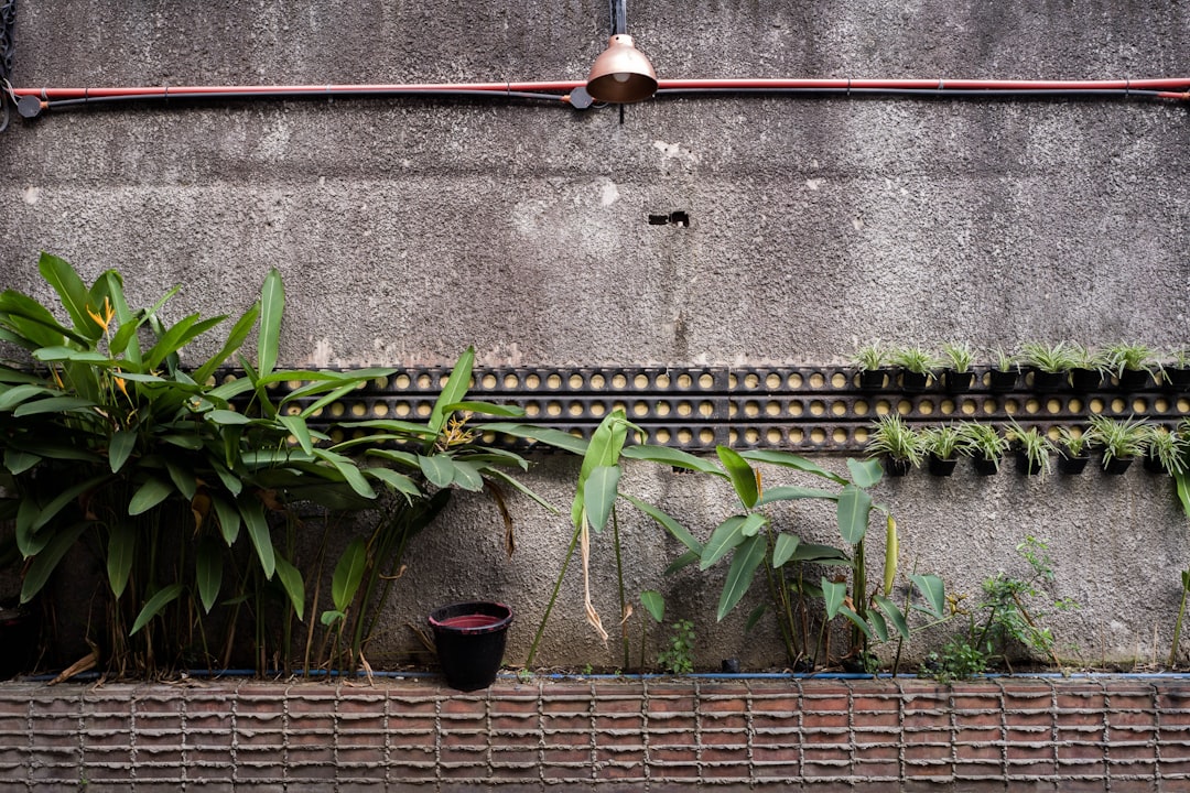 Regenwateropvang-innovatieve-tuinoplossingen-voor-behoud-en-gebruik-unsplash_z6u9kqlqwQk