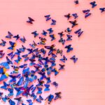 Vleugels van kleur: hoe vlinderdecor een vrolijke zomertoets brengt