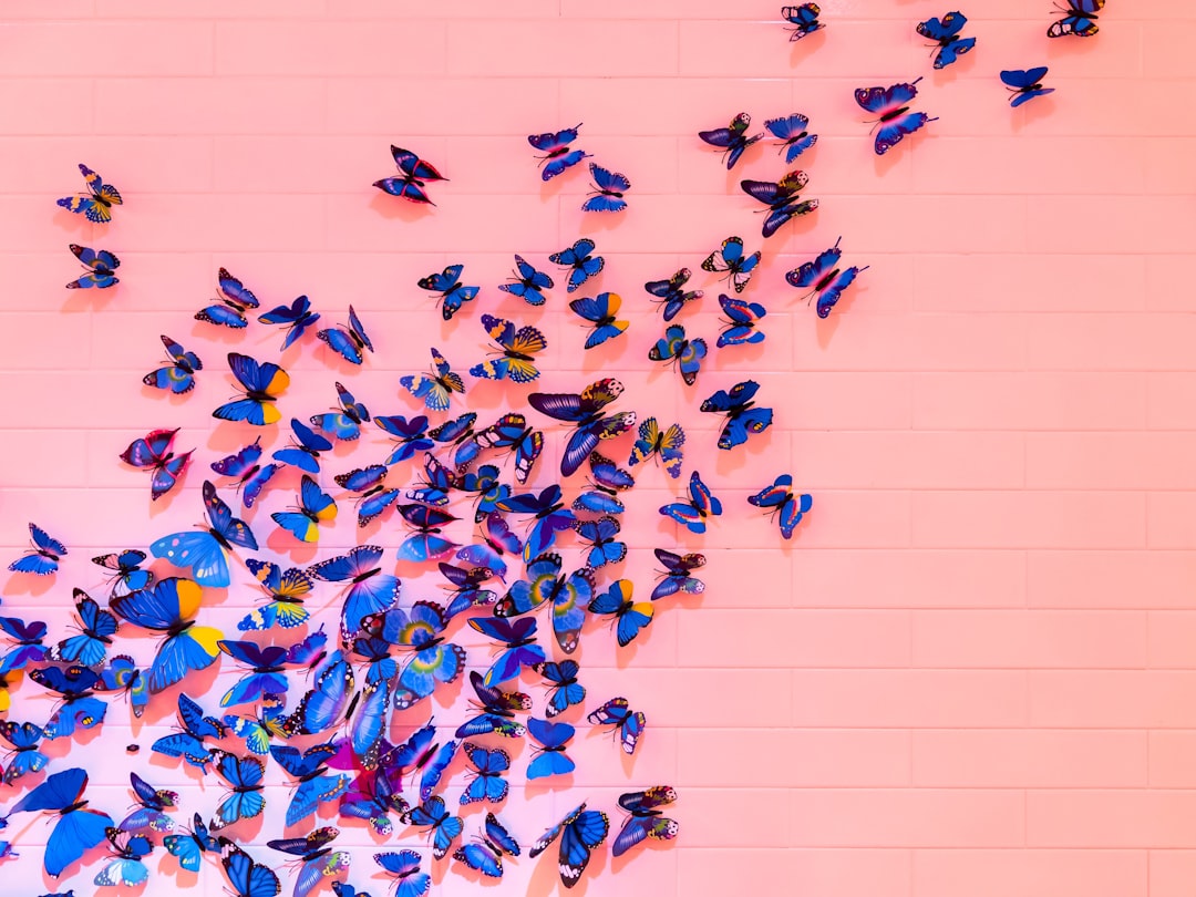 Vleugels-van-kleur-hoe-vlinderdecor-een-vrolijke-zomertoets-brengt-unsplash_CK7rdTauhDE