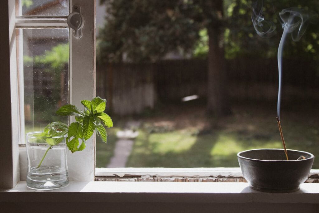 Zomerse-geuren-voor-huisdiffusers-de-beste-aromas-voor-warmte-unsplash_UozvGeM-_Ko