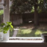 Zomerse geuren voor huisdiffusers: de beste aroma’s voor warmte