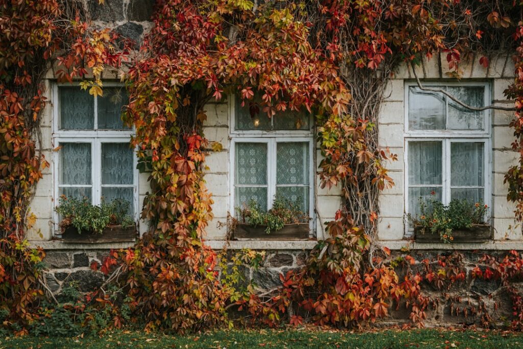 Innovatieve-gevelgroei-klimplanten-als-natuurlijke-zonwering-unsplash_4SqhbASBL90