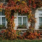 Innovatieve gevelgroei: klimplanten als natuurlijke zonwering