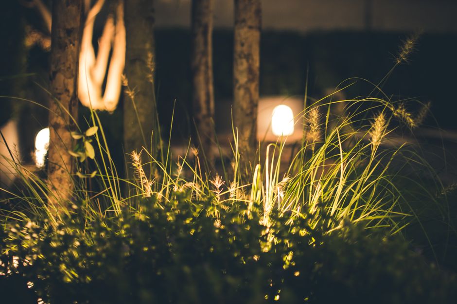 Subtiele lichtjes accentueren herfstbladeren bij avondval. Subtiele lichtjes accentueren herfstbladeren bij avondval.