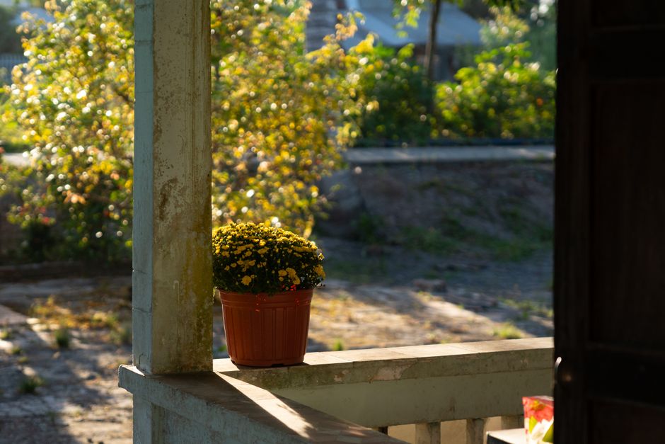 Zonnige-herfstverandas-hoe-richt-je-ze-in-als-knusse-leeshoek-pexels_36242525