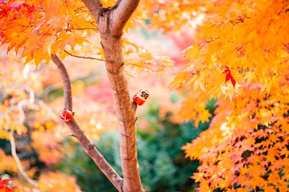 Minimalistische Japanse herfstkunst op canvas. Minimalistische Japanse herfstkunst op canvas.