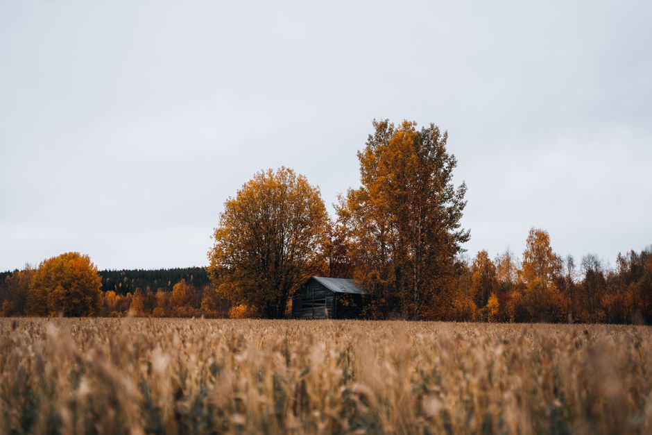 Scandinavische texturen met natuurlijke elementen.